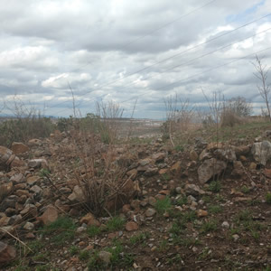 Ambiental