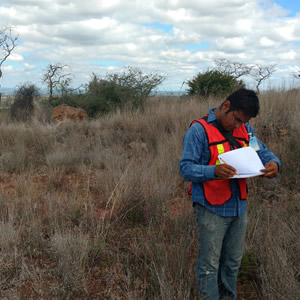 Ambiental